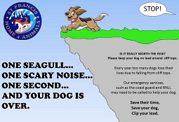Keep Dogs Under Control by Cliffs